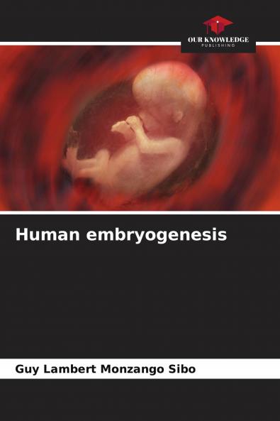 Human embryogenesis