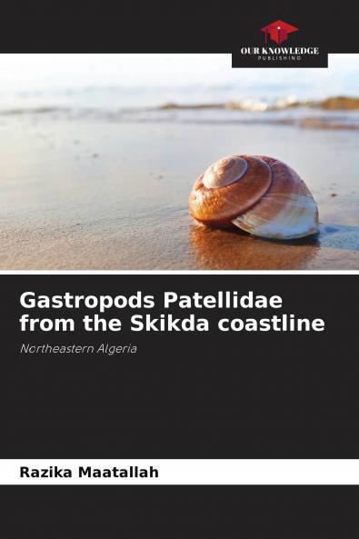 Gastropods Patellidae from the Skikda coastline