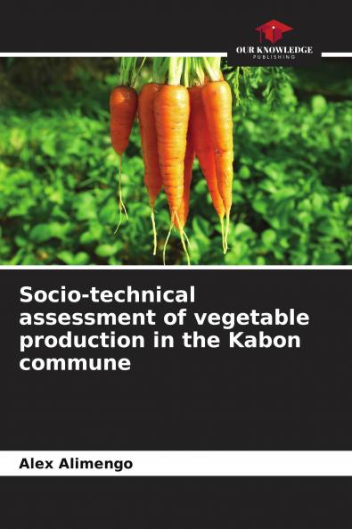 Socio-technical assessment of vegetable production in the Kabon commune