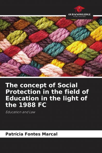 The concept of Social Protection in the field of Education in the light of the 1988 FC
