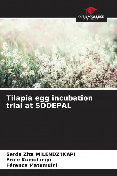 Tilapia egg incubation trial at SODEPAL