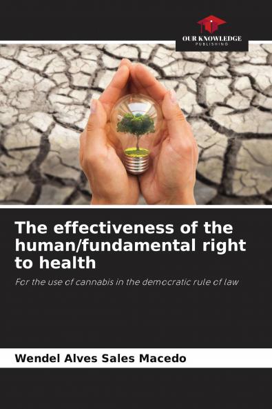 The effectiveness of the human/fundamental right to health