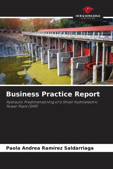 Business Practice Report