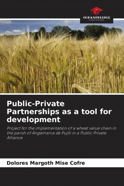 Public-Private Partnerships as a tool for development