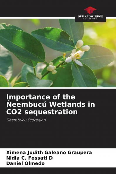 Importance of the ��eembuc�� Wetlands in CO2 sequestration