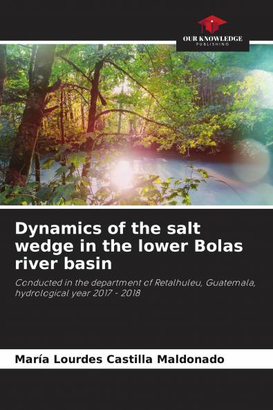Dynamics of the salt wedge in the lower Bolas river basin