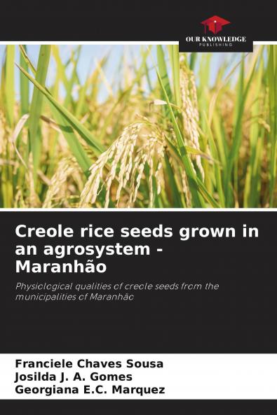Creole rice seeds grown in an agrosystem - Maranh��o