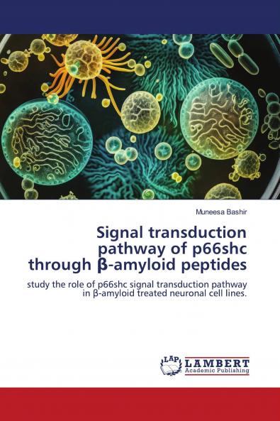 Signal transduction pathway of p66shc through ��-amyloid peptides