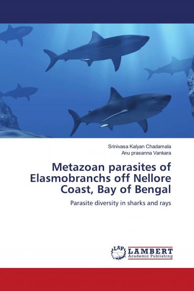 Metazoan parasites of Elasmobranchs off Nellore Coast Bay of Bengal