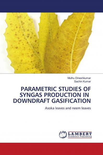 PARAMETRIC STUDIES OF SYNGAS PRODUCTION IN DOWNDRAFT GASIFICATION