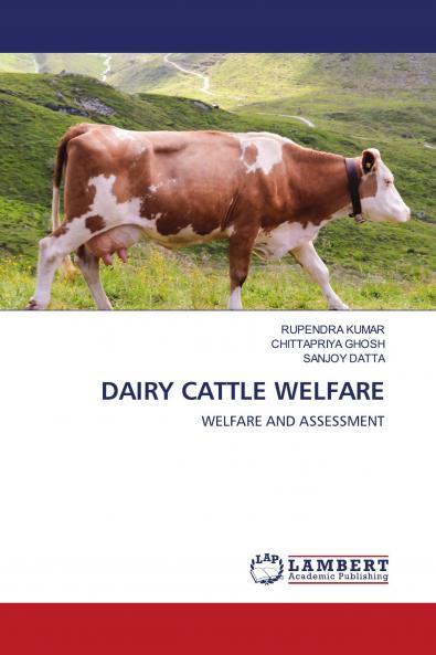 DAIRY CATTLE WELFARE