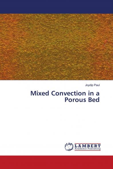 Mixed Convection in a Porous Bed