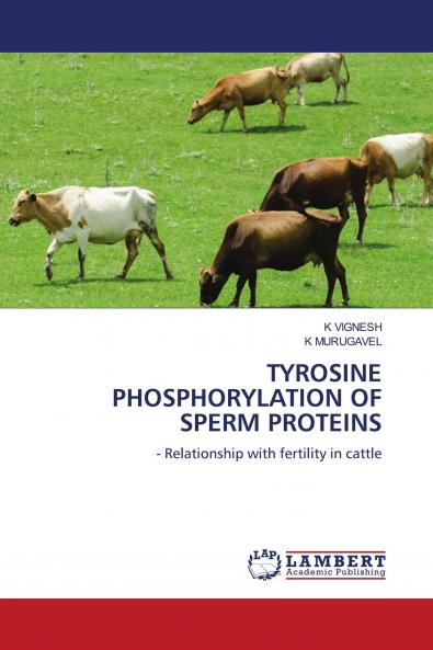 TYROSINE PHOSPHORYLATION OF SPERM PROTEINS