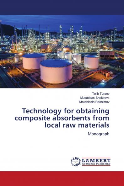 Technology for obtaining composite absorbents from local raw materials