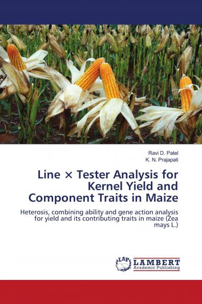 Line �� Tester Analysis for Kernel Yield and Component Traits in Maize