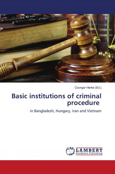 Basic institutions of criminal procedure