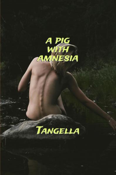 A Pig With Amnesia: Even the forgotten remember something