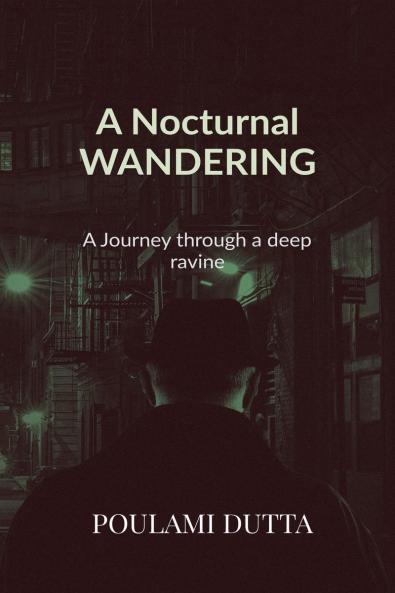 A Nocturnal Wandering: A Journey through a deep ravine