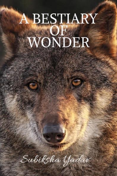 A Bestiary of Wonder: Reflections of the Hidden Kingdom