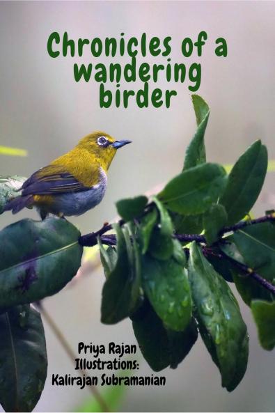 Chronicles of a wandering birder