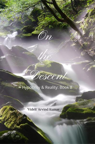 On the Descent: Hypocrisy & Reality: Book 8
