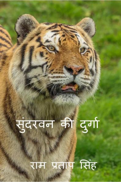 SUNDARVAN KI DURGA / सुंदरवन की दुर्गा