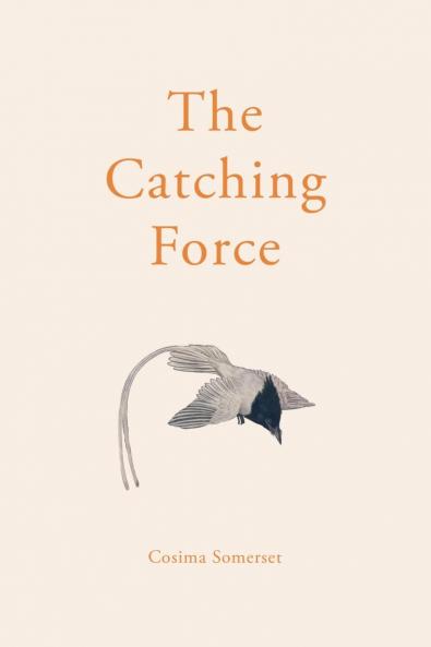 The Catching Force