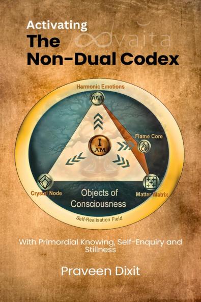 Activating the Non-Dual Codex: With Primordial Knowing Self-Enquiry and Stillness