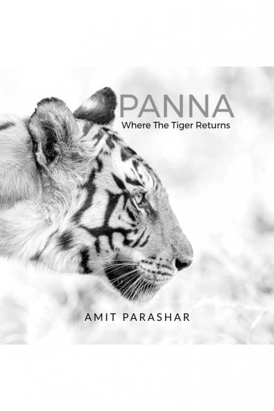 PANNA: Where the Tiger Returns