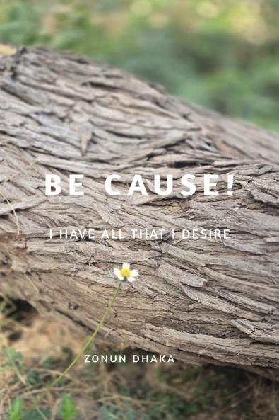 BE CAUSE!: I have all that I desire