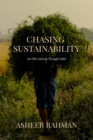 Chasing Sustainability: An SDG Journey Through India