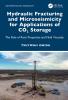 Hydraulic Fracturing and Microseismicity for Applications of CO2 Storage