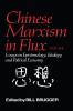 Chinese Marxism in Flux 1978-84