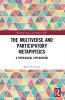 Multiverse and Participatory Metaphysics