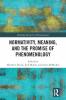 Normativity Meaning and the Promise of Phenomenology