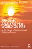 Jungian Analysis in a World on Fire