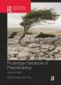 Routledge Handbook of Peacebuilding