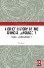Brief History of the Chinese Language V