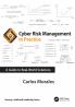 Cyber Risk Management in Practice