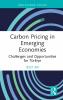 Carbon Pricing in Emerging Economies