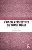 Critical Perspectives on Damon Galgut