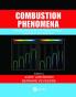 Combustion Phenomena
