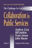 Collaboration in Public Services