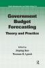 Government Budget Forecasting