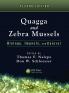 Quagga and Zebra Mussels