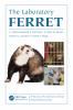 Laboratory Ferret
