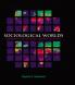 Sociological Worlds