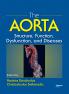Aorta