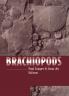 Brachiopods