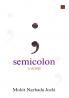 semicolon : a novel